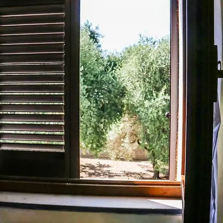 La Ginestra *