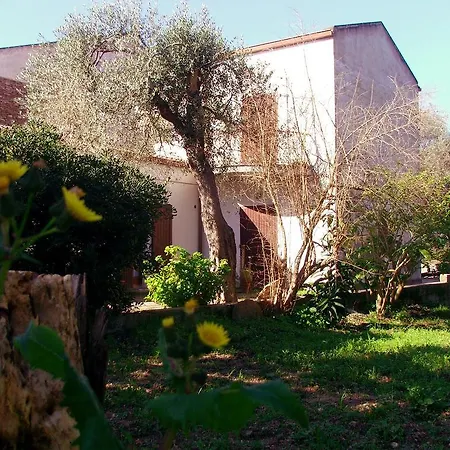 La Ginestra *